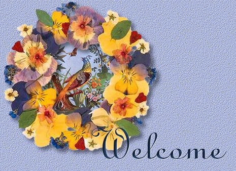 paradisebirdwelc.jpg (70180 bytes)